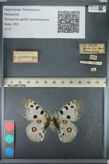 Media type: image;   Entomology 175169